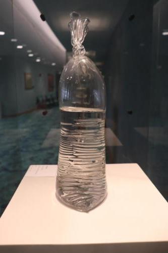 H2O/SiO2 Glass Sculpted Art Piece